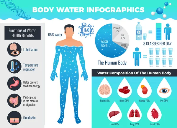 benefits of hydration drinking water in the body