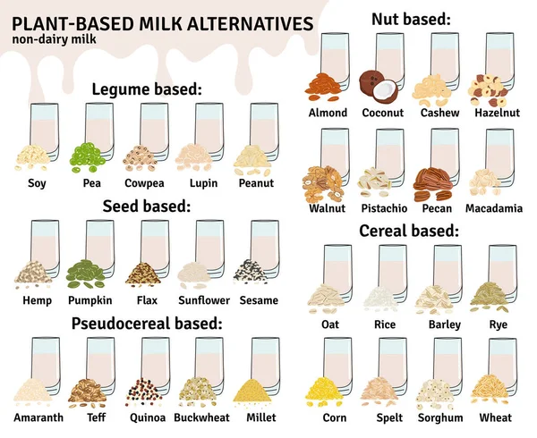 Set of glasses with plant-based milk. Vegan milk types infographic. Almond, soy, rice, coconut, cashew, hazelnut, oat, flax, walnut, hemp, pea milk. Milk alternatives