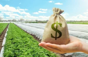 Money bag in hand on farm field background. Lending and subsidizing farmers. Grants and financial support. Profit from agribusiness. Land value valuation. Land tax. Agricultural startups. Secured loan