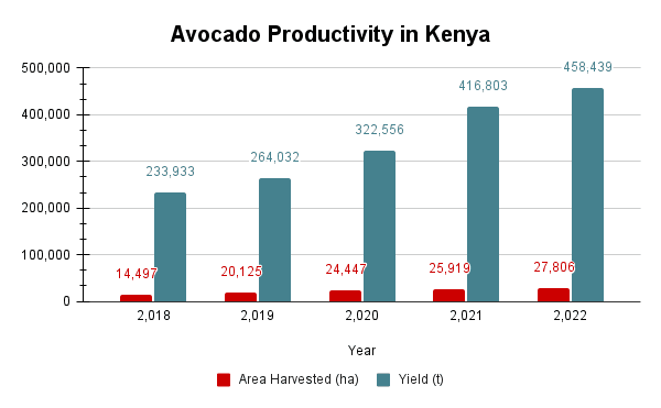 avocado  farming in kenya productivity data