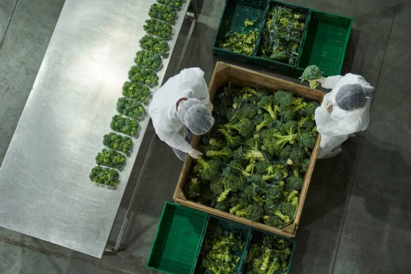 Top view of employees in latex gloves and gauze caps working in a packaging department