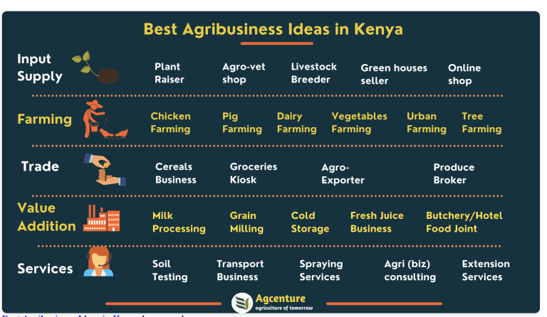 An inforgraphic of select agriculture and food business ventures across the entire value chain
